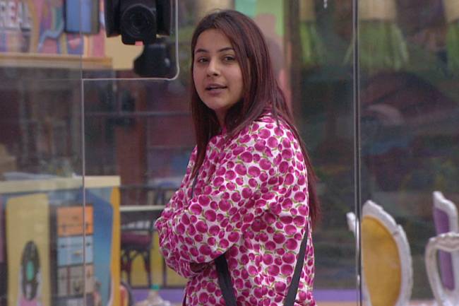 Bigg Boss 13 Day 82 written updates: Captain Shehnaz gets troubled by the housemates