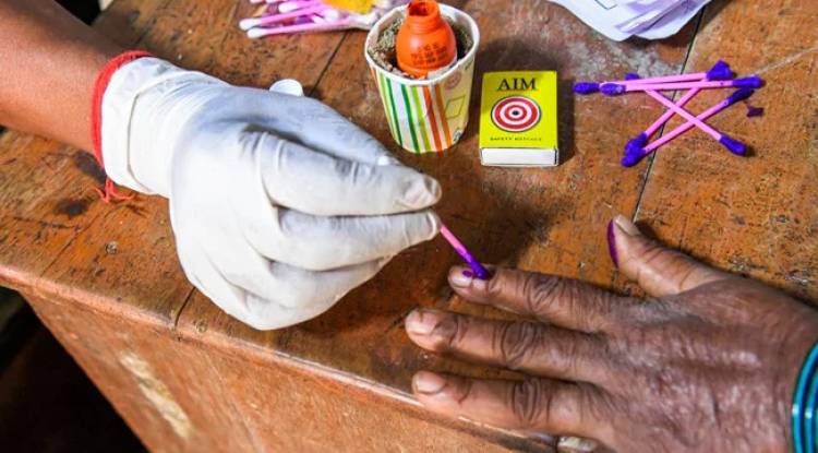 BJP Dominates, AAP Impresses Again In Local Gujarat Polls