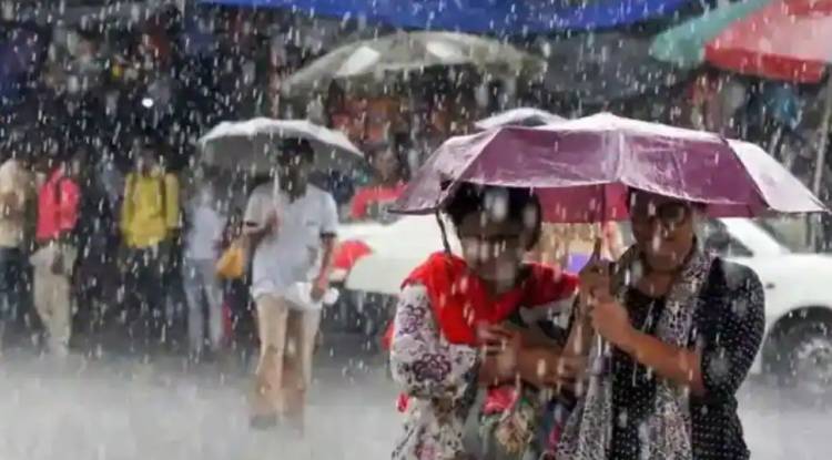 Rainfall, dense fog in these states ahead of Republic Day - check IMD's weather forecast